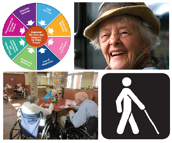 Residential Care Settings In Ireland